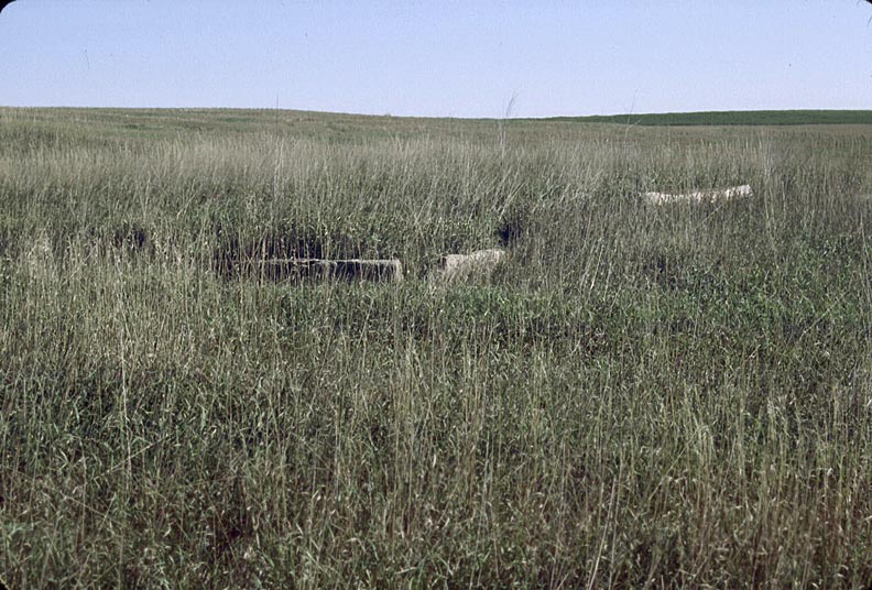 File:William Cather Homestead Site.jpg