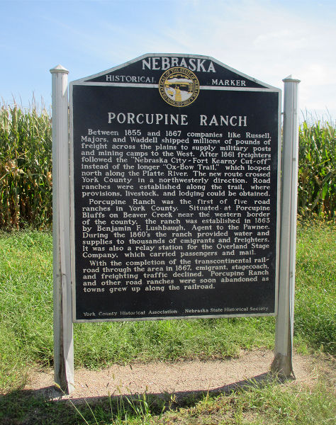 File:NHM 279 02 01 201609 EL B.jpg